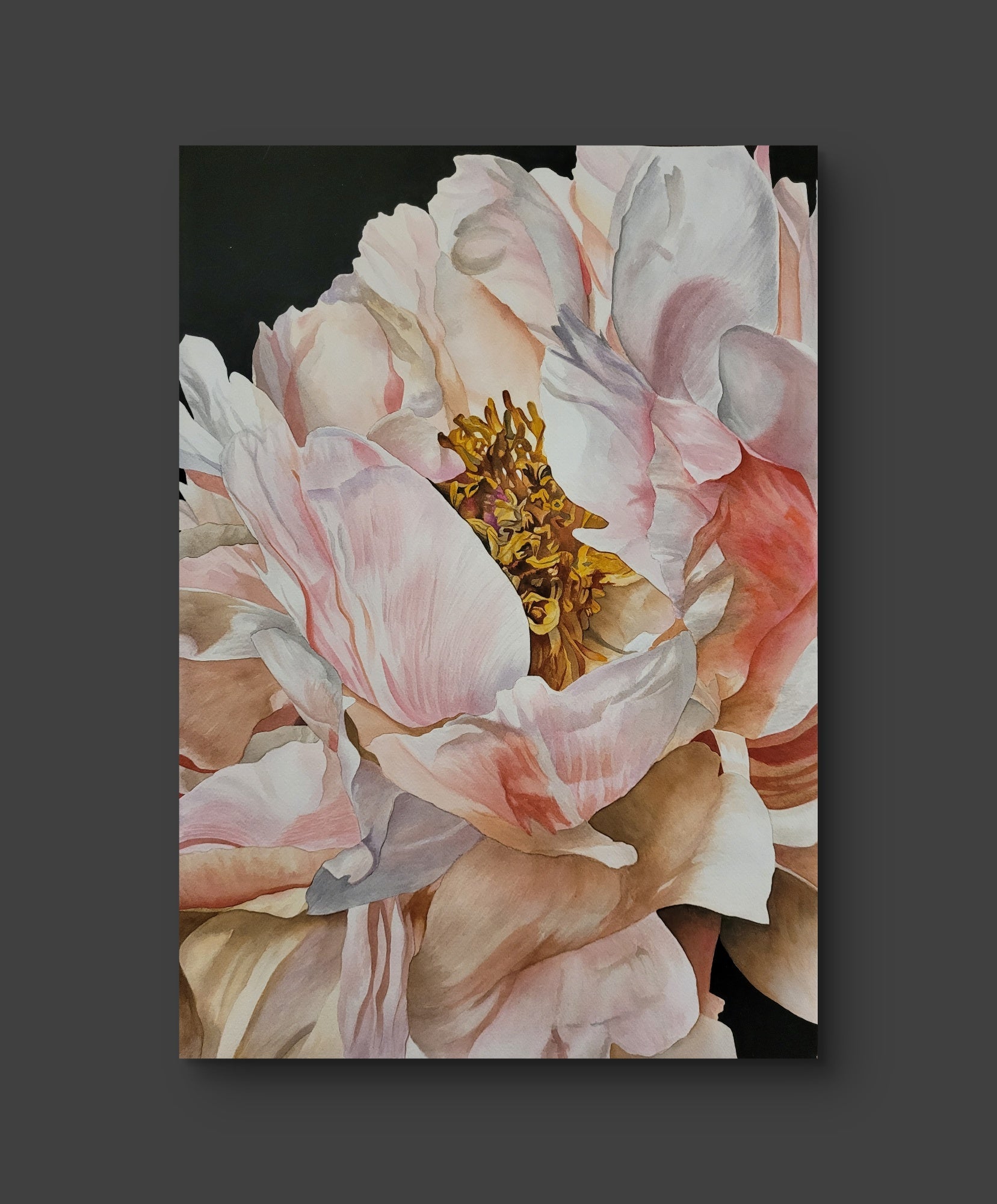 Fine Art Prints
