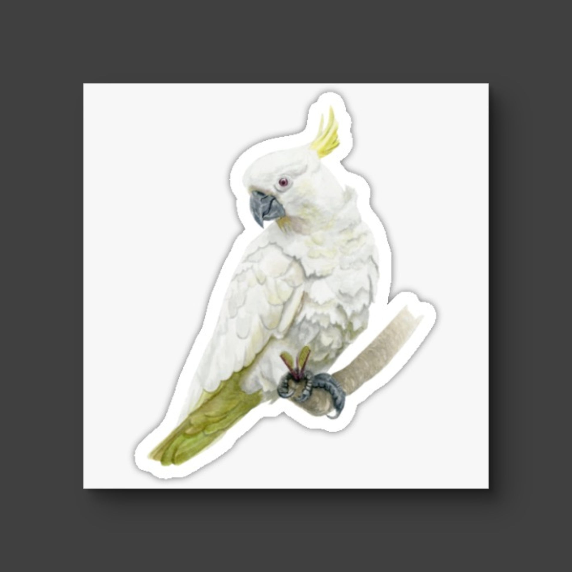 Die Cut Stickers 7 x 7cm.