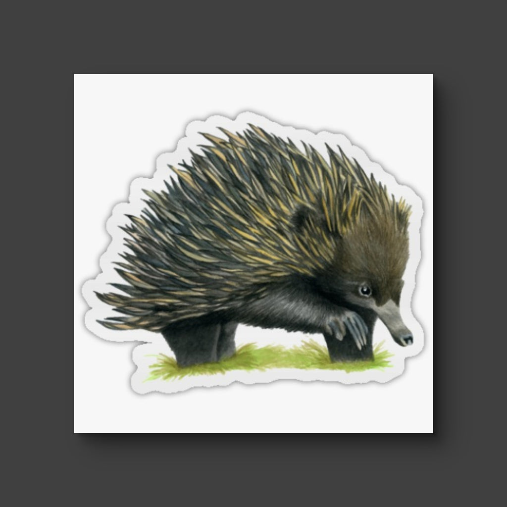 Die Cut Stickers 7 x 7cm.