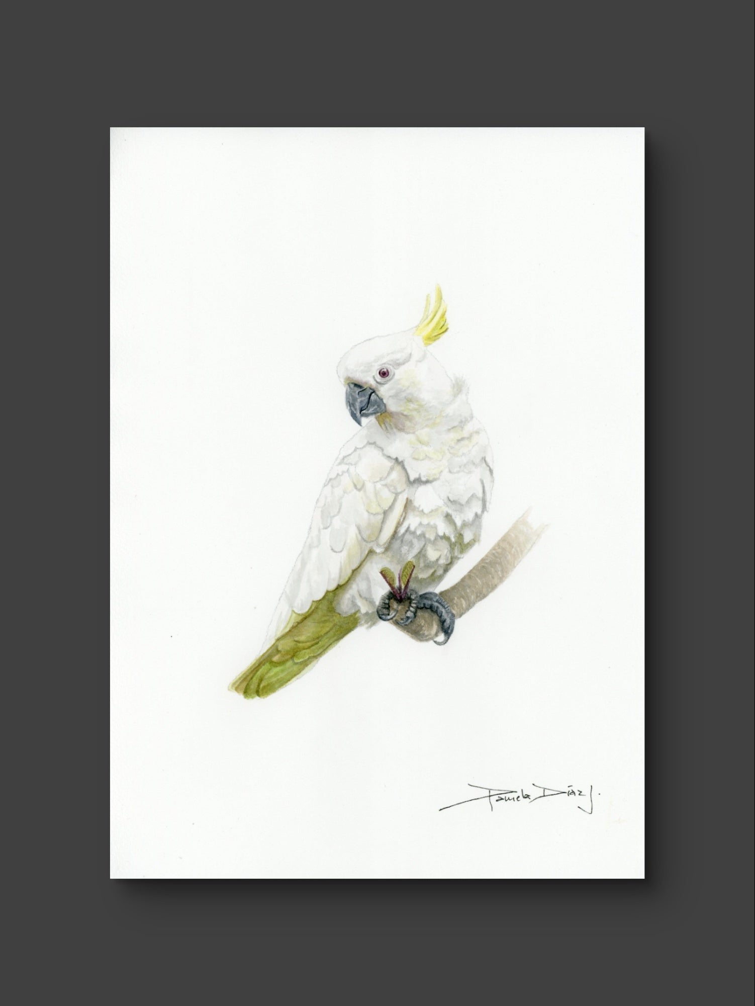 Cockatoo - Original watercolor painting