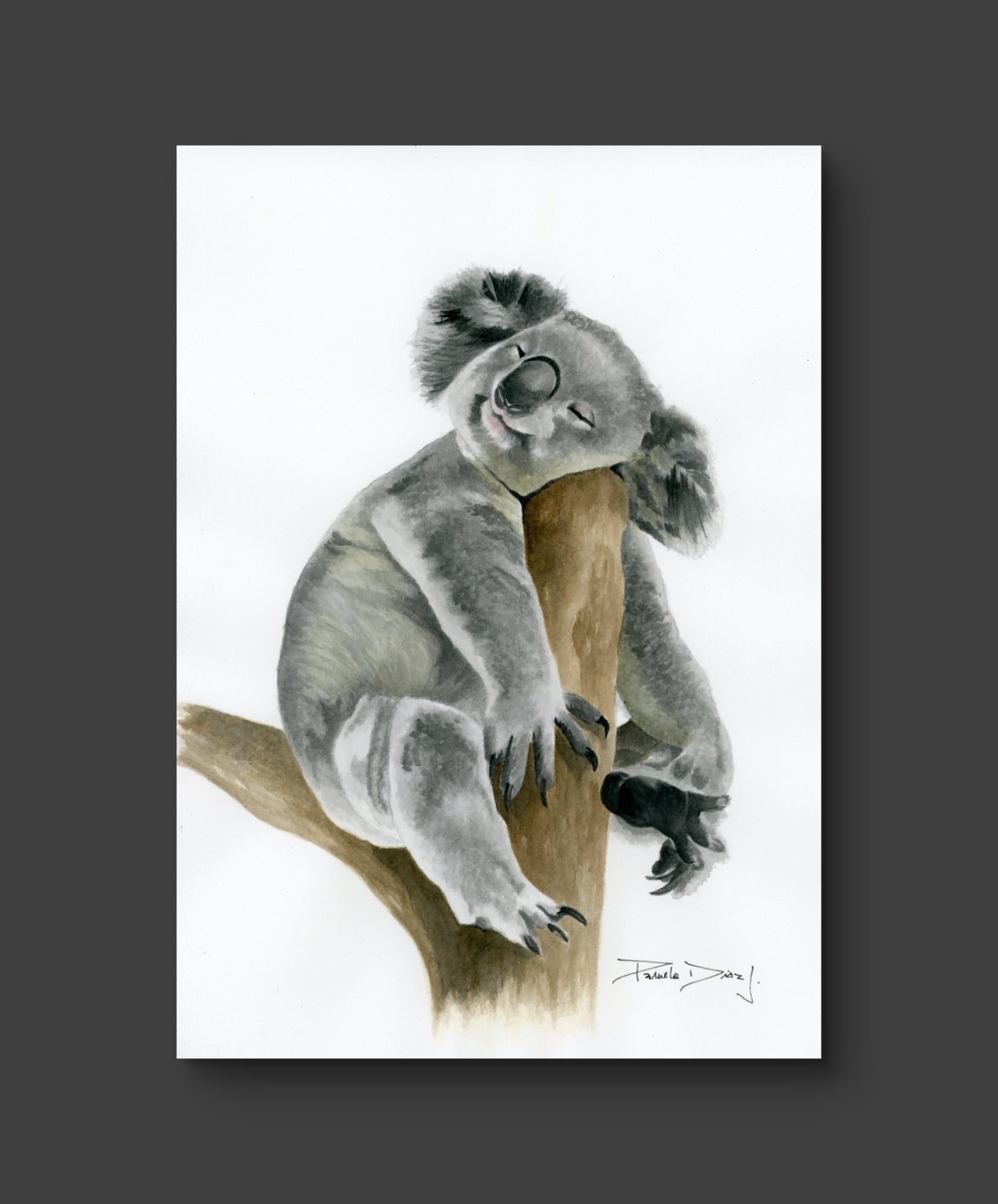 Koala - Fine Art Print