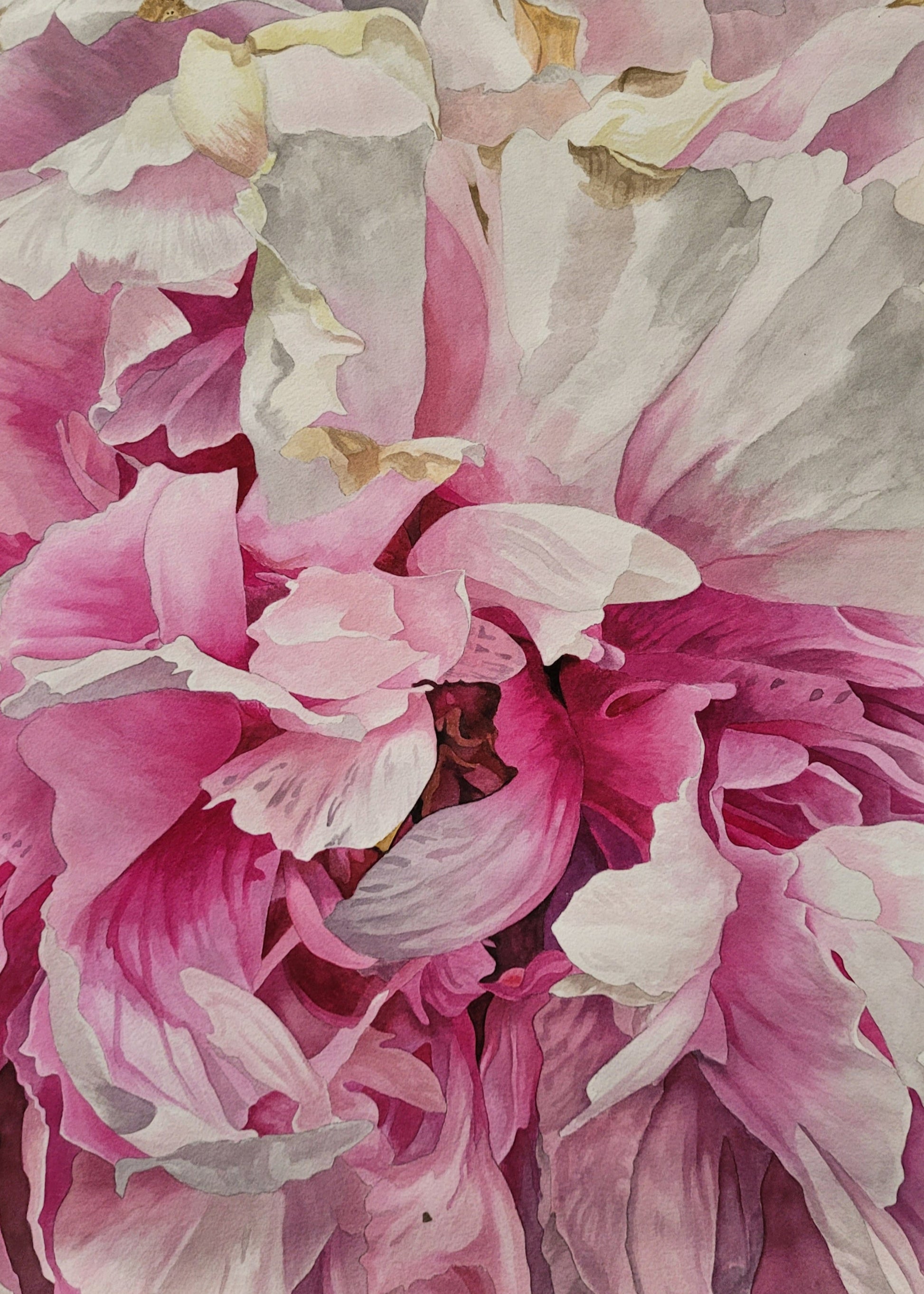 Grand Peony - Original