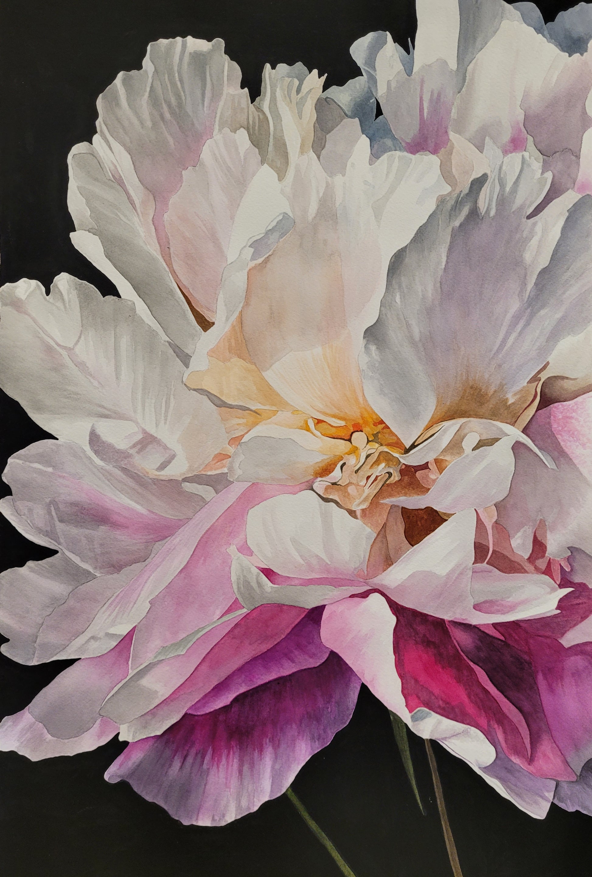 Peony Flower  - Original
