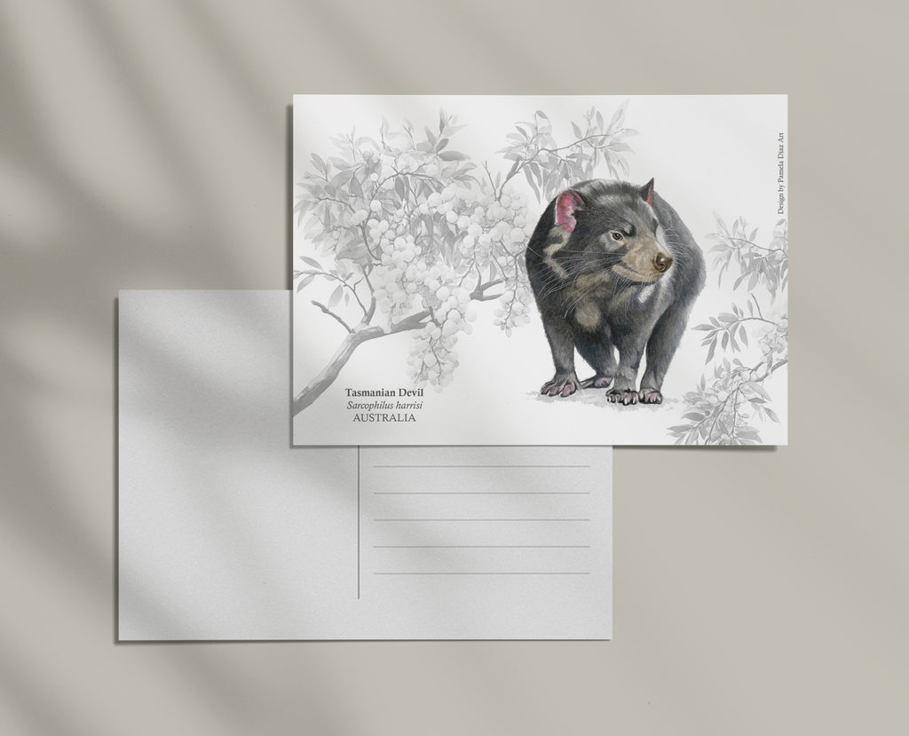 Tasmanian Devil - Postcard