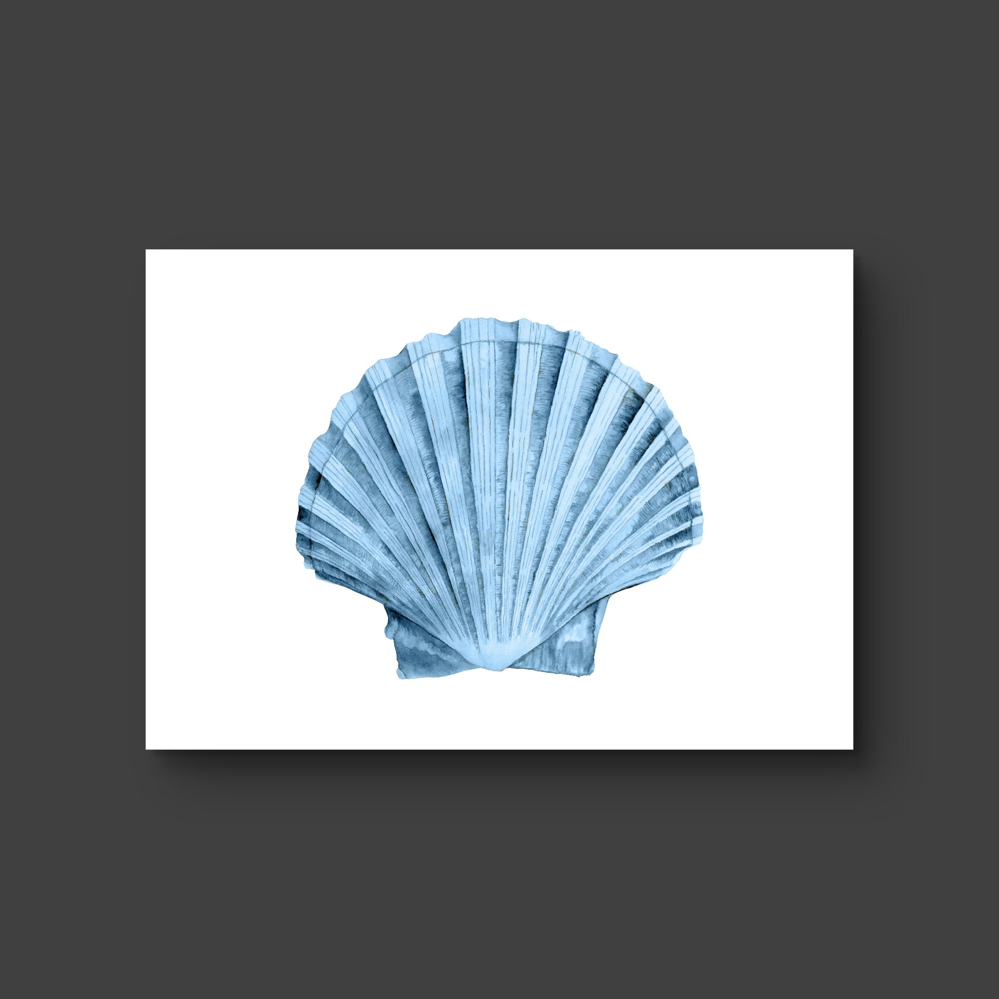 Shell 1 - Fine Art Print