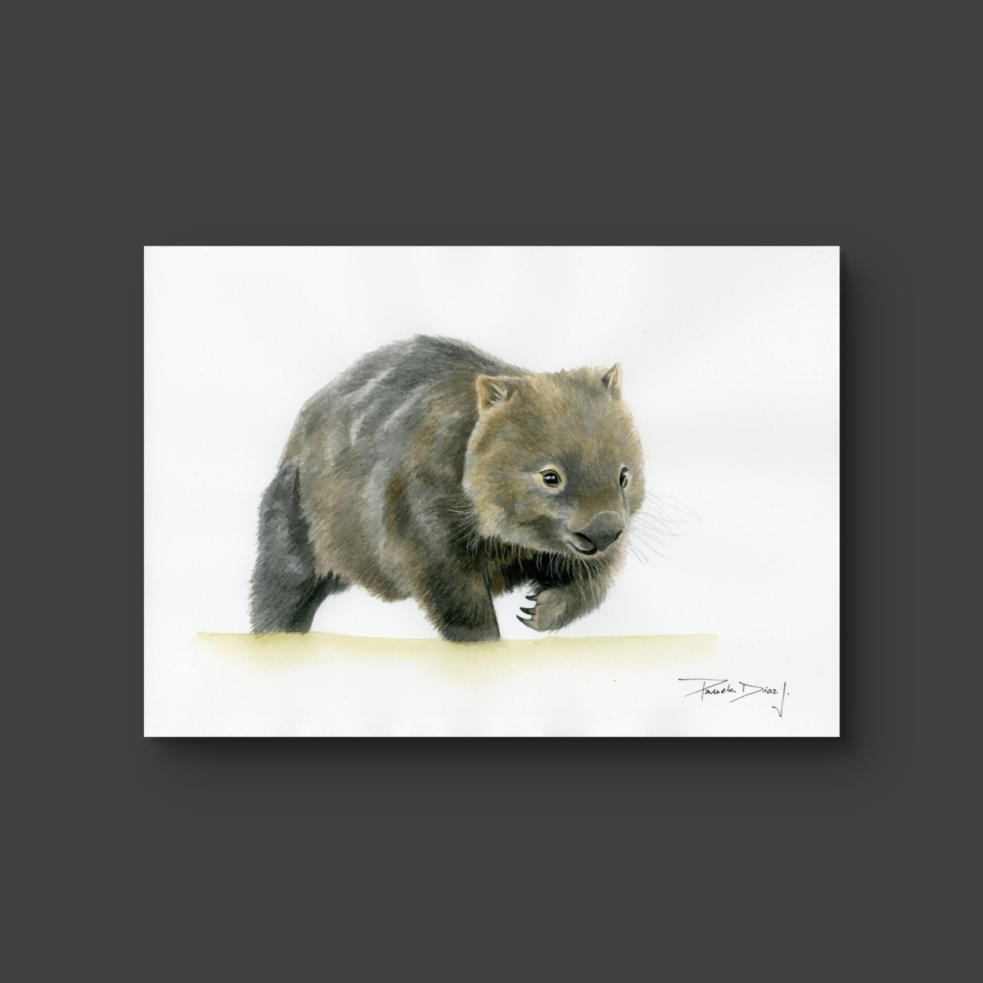 Wombat - Fine Art Print