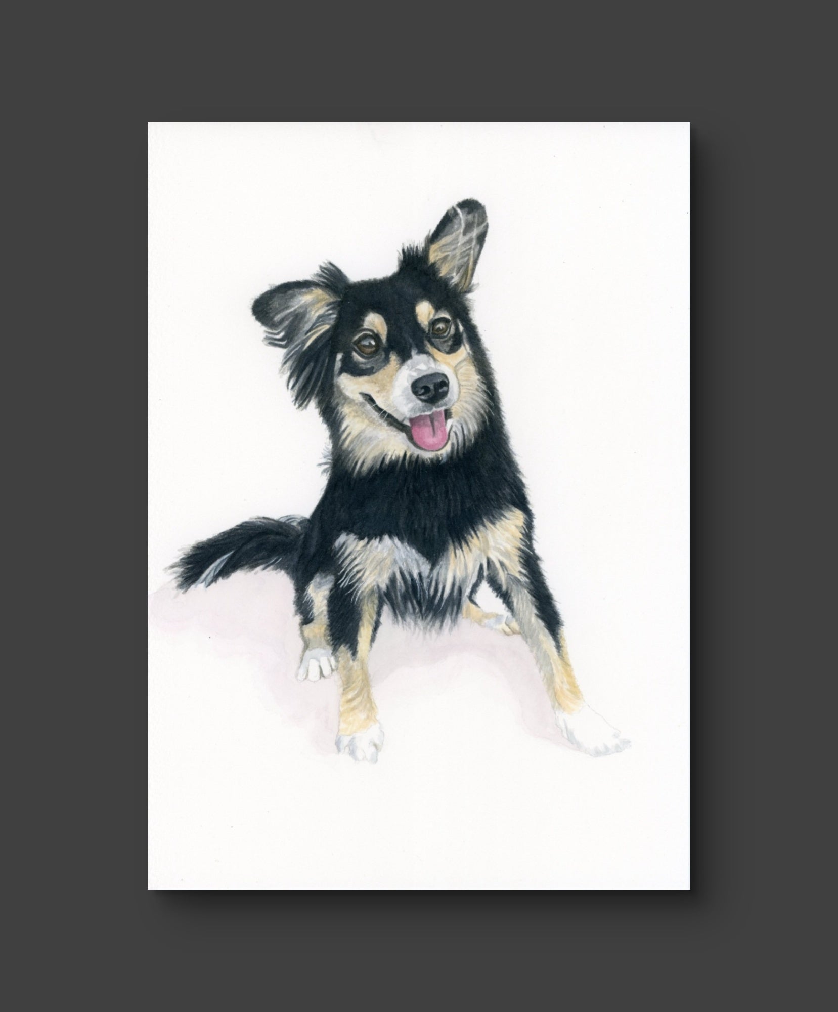 Pet commission