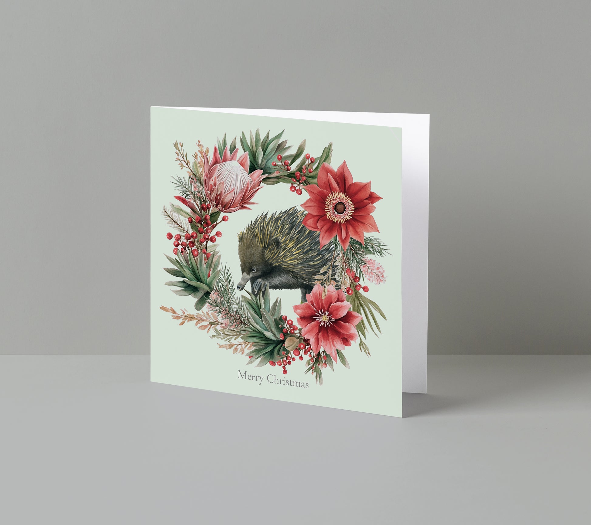 Pack 5 Christmas Cards